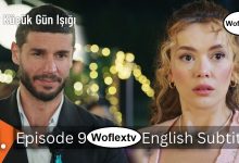 Bir Kucuk Gun Isigi Episode 9 English Subtitles