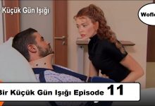 Bir Kucuk Gun Isigi Episode 11 English Subtitles