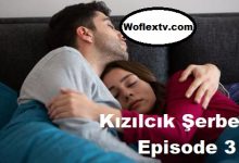 Kızılcık Şerbeti Episode 3 English Subtitles