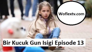 Bir Kucuk Gun Isigi Episode 13 English Subtitles