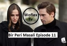 Bir Peri Masali Episode 11 with English subtitles