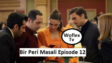 Bir Peri Masali Episode 12 with English subtitles