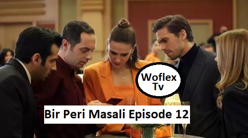 Bir Peri Masali Episode 12 with English subtitles