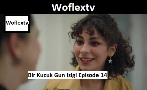 Bir Kucuk Gun Isigi Episode 14 English Subtitles