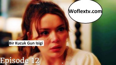 Bir Kucuk Gun Isigi Episode 12 English Subtitles