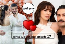Bir Kucuk Gun Isigi Episode 17 English Subtitles