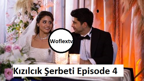 Kızılcık Şerbeti Episode 4 English Subtitles